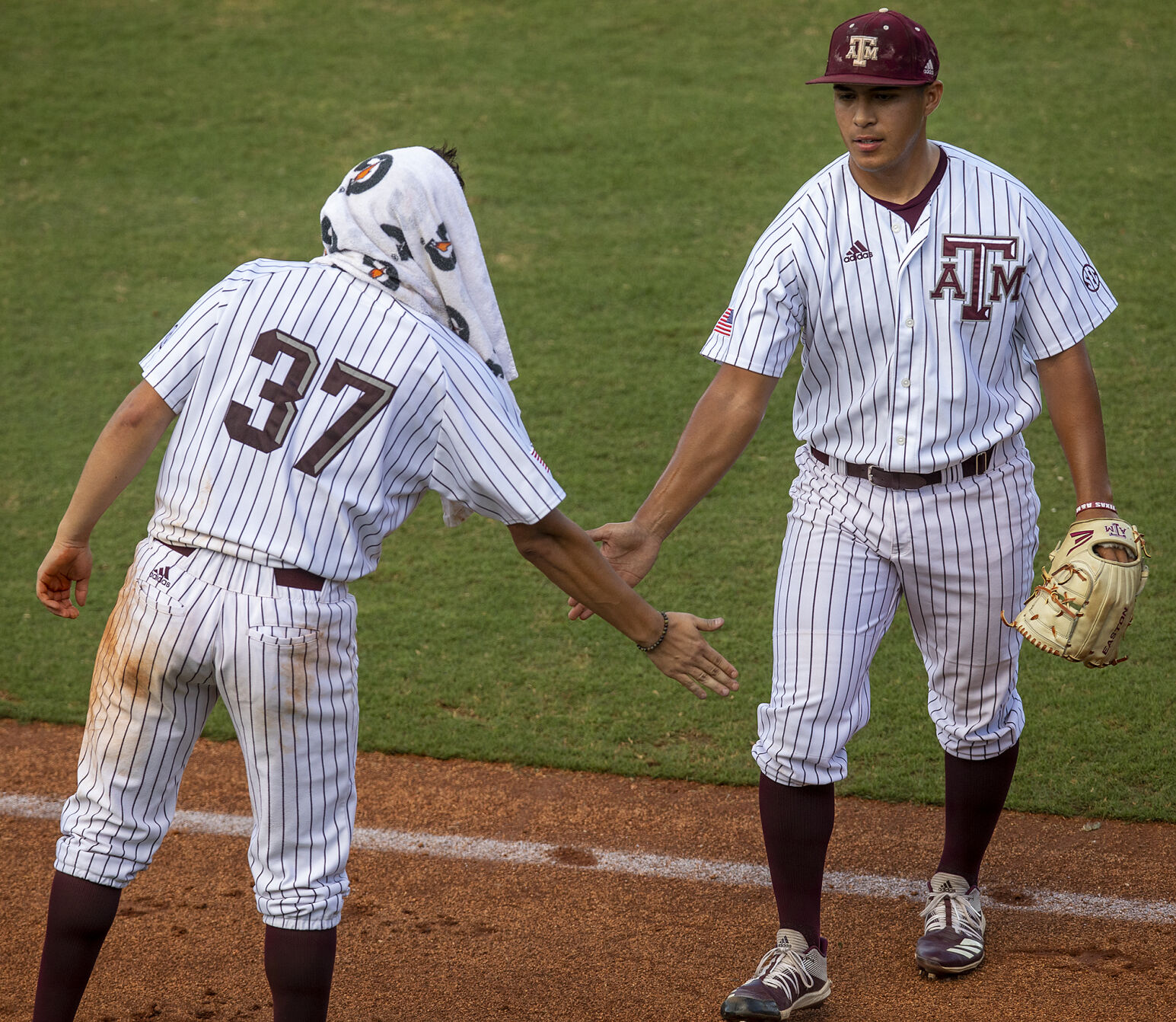 A&M Maroon & White